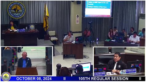 barangay bawing general santos city|14th Regular Session of the 20th Sangguniang  .